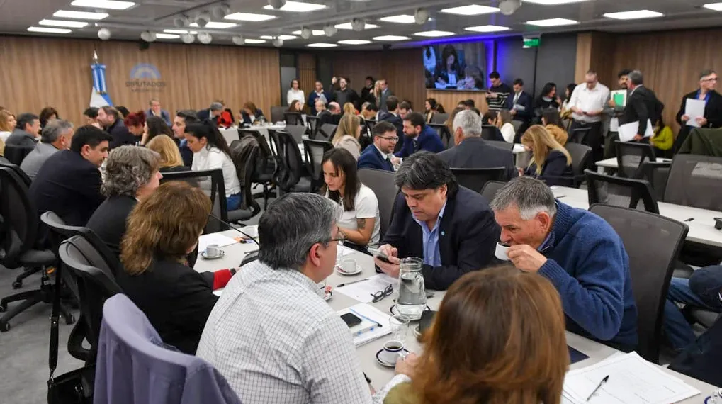 Diputados: la oposición puso en marcha su ofensiva para limitar el uso de los decretos