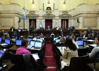 El Senado revierte por primera vez un veto de Milei: es ley otra vez la emergencia en discapacidad