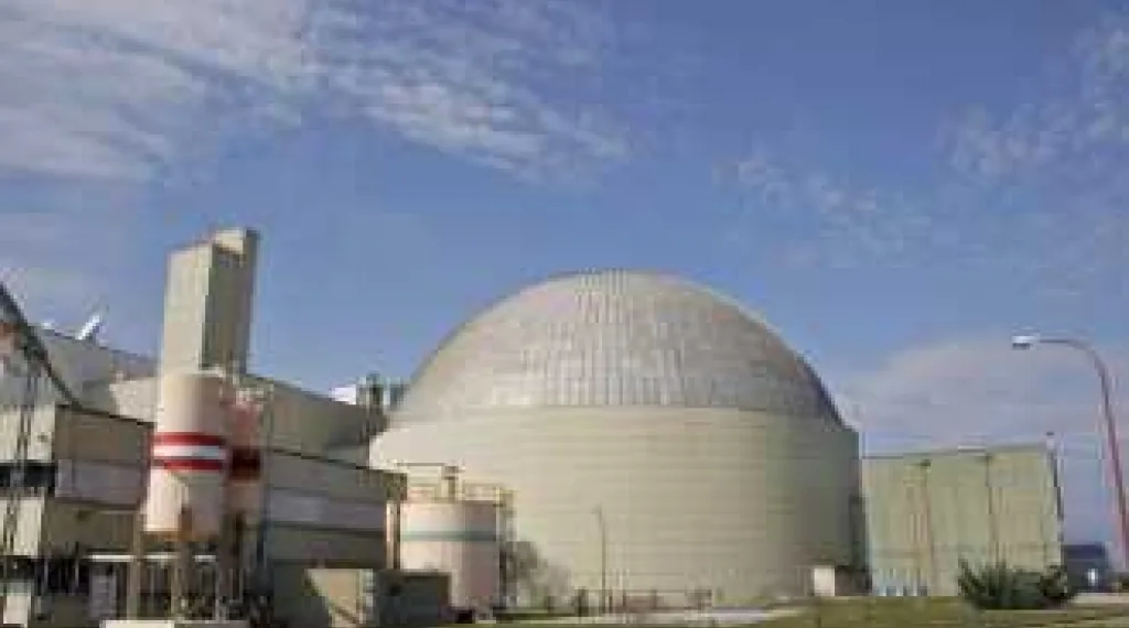 “Están desesperados por conseguir un par de dólares”: fuerte malestar por la privatización de Nucleoeléctrica