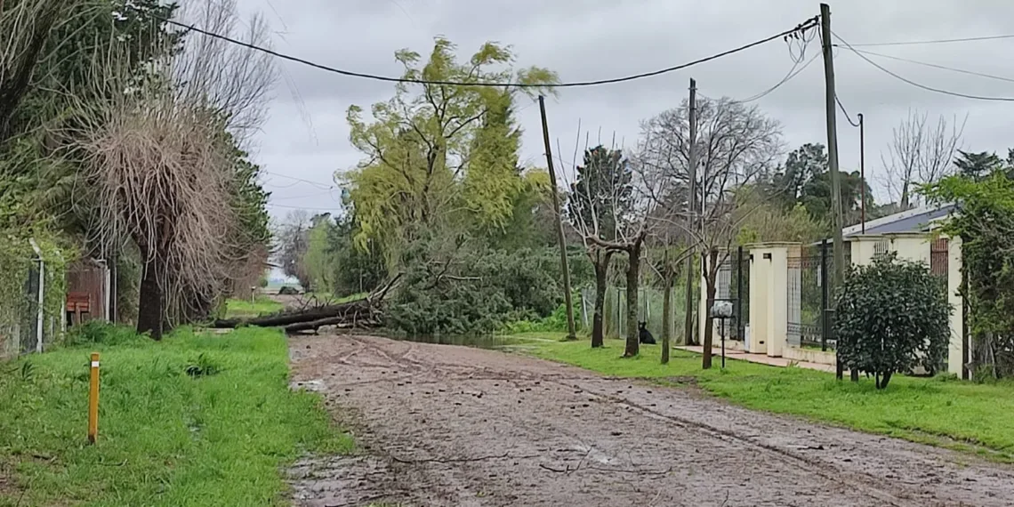 Santa Rosa llegó puntual con viento y más de 100 mm de agua caída