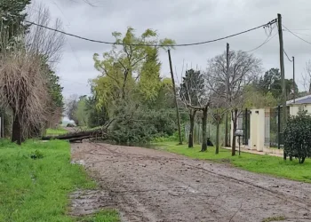 Santa Rosa llegó puntual con viento y más de 100 mm de agua caída