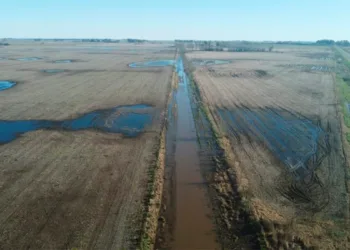 Agosto dejó en la región grandes oportunidades, pero también riesgos