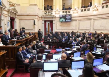 El Senado rechazó el veto al reparto de fondos y el Gobierno apuesta a Diputados