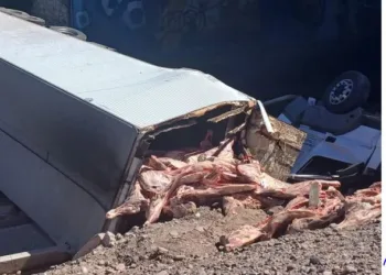 Un camión que transportaba carne desabarrancó en Mendoza