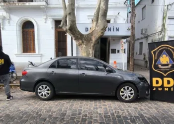 Secuestraron cinco vehículos e imputaron a ocho personas