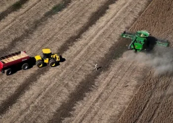 El peronismo ganó en la Cuarta después de 20 años