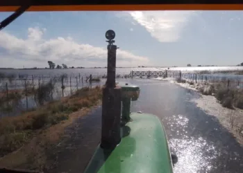 Ya hay dos millones de hectáreas afectadas por las inundaciones