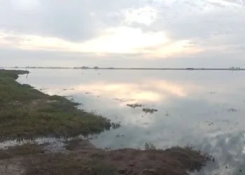 Productores de Laplacette afirman  que la situación es dramática