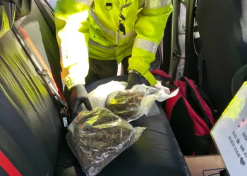 Secuestran más de un kilo de marihuana en un transporte de cargas