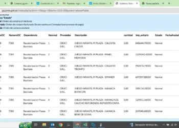 Desde Potencia apunta a cumplir una «estricta tarea de control» de las cuentas públicas