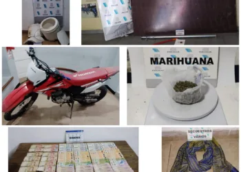 Aprehensiones por hurto, tentativa de robo,  infracción a la ley de Drogas y desobediencia