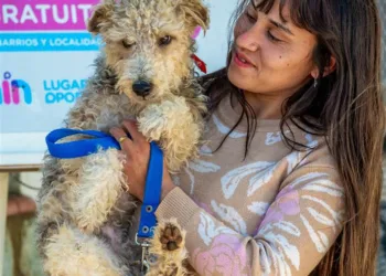 “En Junín trabajamos todo el año para la prevención por medio de la vacunación”, destacó Cacheiro