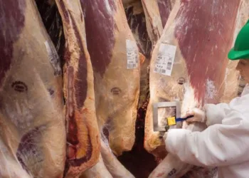 Según los frigoríficos, cobran  la faena o terminan cerrando