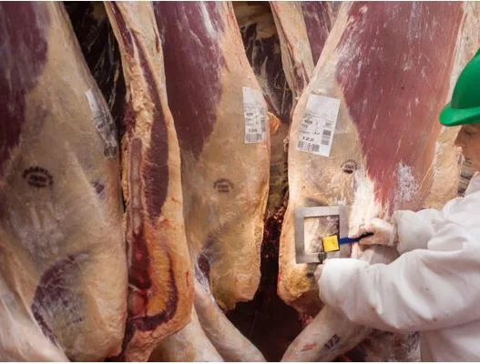 Según los frigoríficos, cobran la faena o terminan cerrando