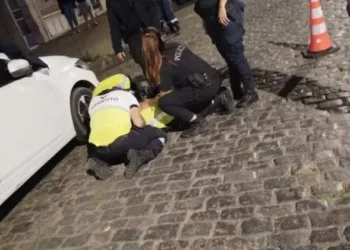 Homologaron la pena de cinco años y medio a quien atropelló al inspector Ottaviani