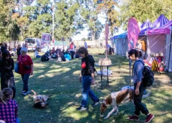 “Día de Pelos” en el refugio de AJPA el próximo domingo
