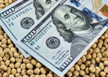 El ingreso de dólares del agro podría  desplomarse un 80% en el final del año