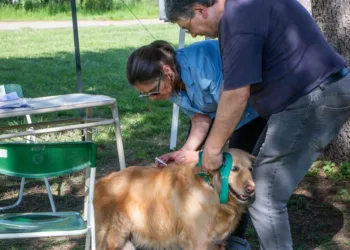 La Muni en tu Barrio sumó una nueva jornada el Real-Moya Jardín