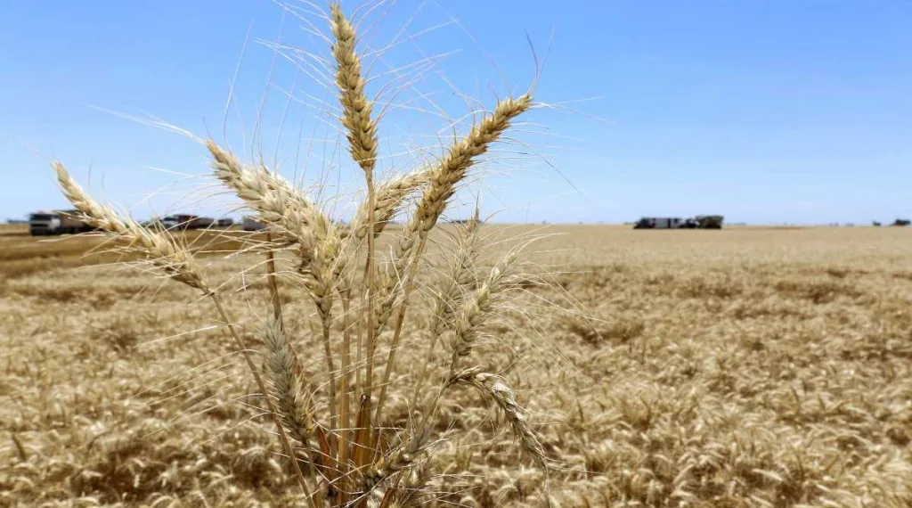 El Banco Mundial prevé baja en los commodities y  enciende alarma por impacto de La Niña en Argentina