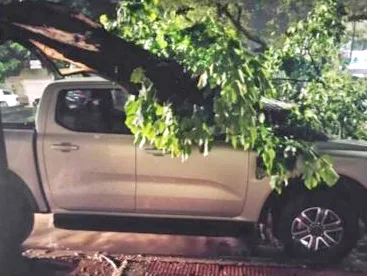 Fuerte temporal azotó Junín: daños en viviendas y una familia evacuada