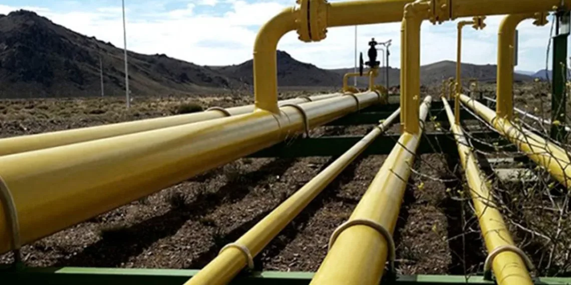 El Gobierno adjudicó a TGS la ampliación del gasoducto Perito Moreno