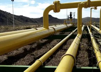 El Gobierno adjudicó a TGS la ampliación del gasoducto Perito Moreno