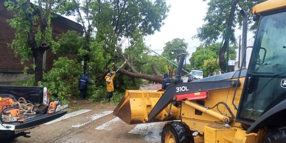 Continúan las tareas en toda la ciudad y localidades del Partido tras el temporal