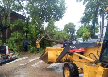 Continúan las tareas en toda la ciudad y localidades del Partido tras el temporal