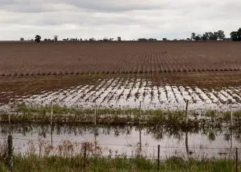 El agua volvió: cómo cambió el mapa hídrico y productivo del Partido de Junín