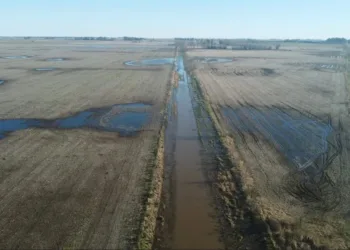 Nación declaró a Junín en emergencia agropecuaria y  a nivel local pedirán una postergación  de la medida