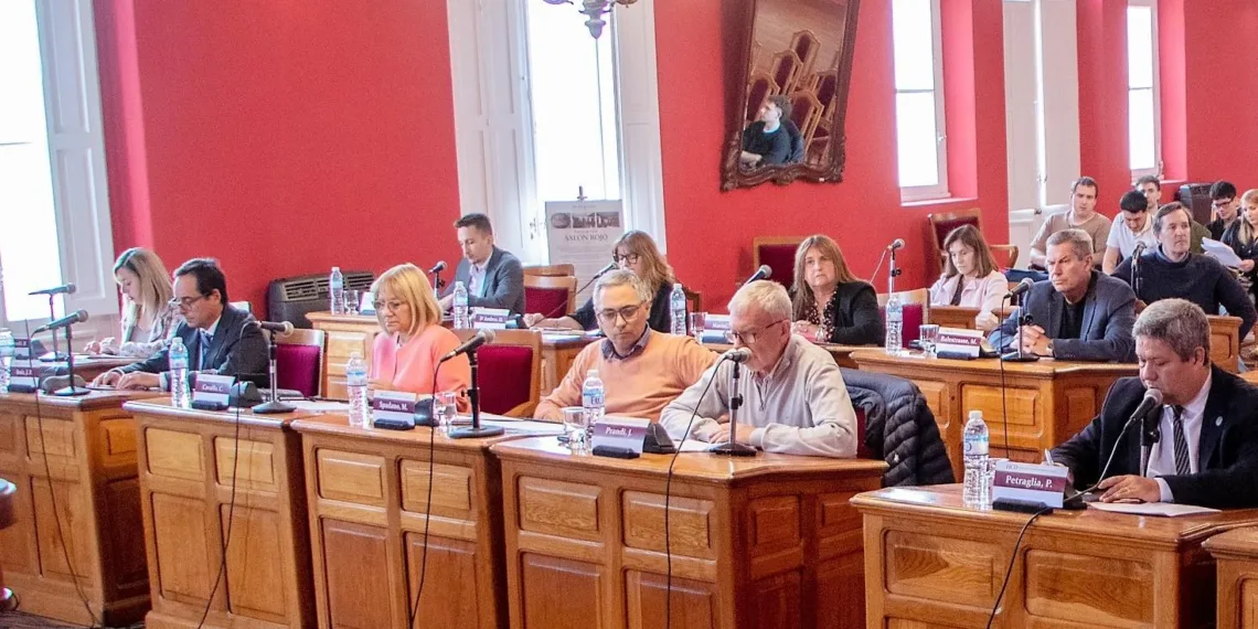 Proyecto para ordenar el estacionamiento en la Avenida San Martín