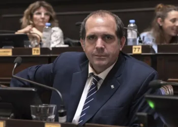 Bugallo alertó sobre un proyecto de ley del Colegio de Ing. Agrónomos