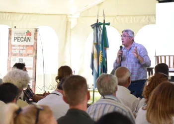 El pecán, una gran oportunidad de diversificación productiva