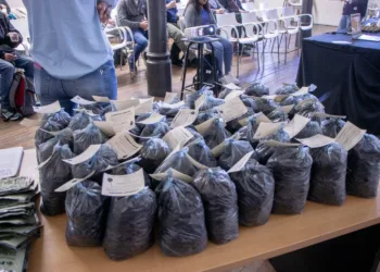 Entregan más de 750 kits de semillas y  destacan el interés vecinal por la autoproducción