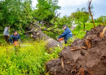 Continúan las tareas de las cuadrillas municipales tras el temporal de ayer