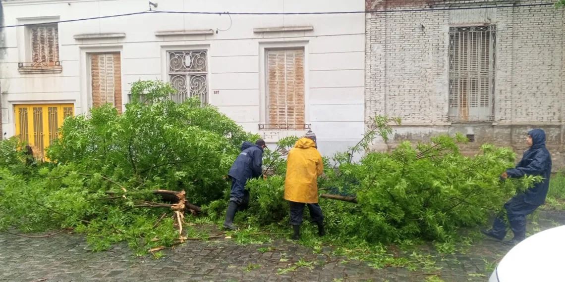 Un fuerte temporal afectó a Junín en la madrugada de hoy