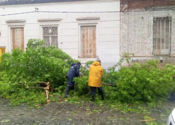 Un fuerte temporal afectó a Junín en la madrugada de hoy