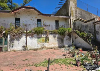 El Municipio recuperó 33 hectáreas usurpadas en Rincón del Carpincho