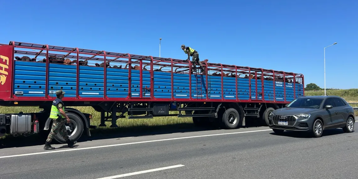 El Comando de Prevención Rural de Junín realizó varias infracciones el fin de semana largo