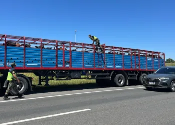 El Comando de Prevención Rural de Junín realizó varias infracciones el fin de semana largo