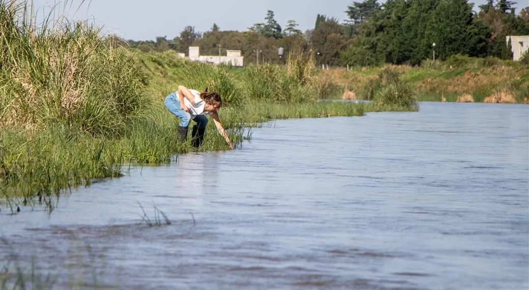 Refuerzan los controles y monitoreos por el barigüí en el río Salado