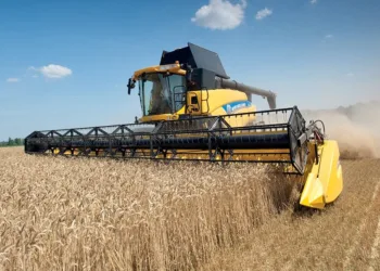 ¿Cómo dan los números del trigo?