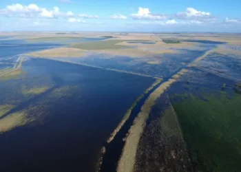 Editorial: Cercados por el agua