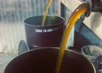 La apicultura vuelve a florecer en Junín