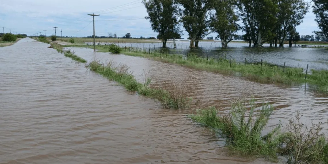“El 80% de la red vial está intransitable”: advertencia de la Rural de 9 de Julio por la crisis hídrica