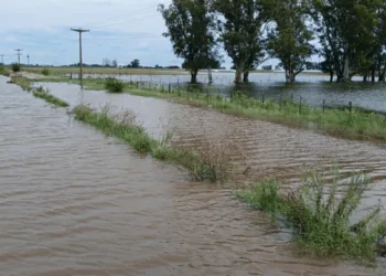 “El 80% de la red vial está intransitable”: advertencia de la Rural de 9 de Julio por la crisis hídrica