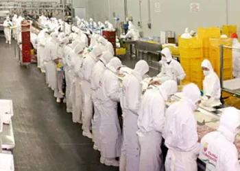 Avícola: cerró una planta para bajar costos en plena crisis del sector