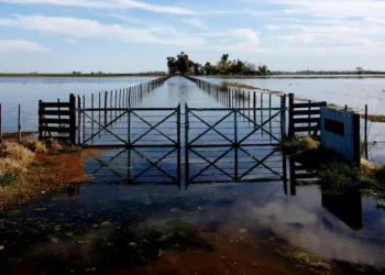 Obras del Salado: productores le exigen a Nación la reactivación plena de un tramo
