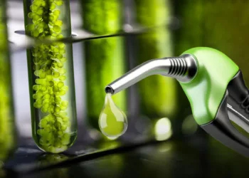 El Gobierno oficializó los nuevos precios de los biocombustibles