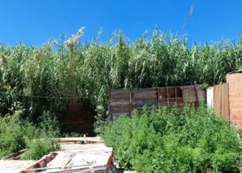 Cieri reclamó ayuda y más seguridad para el barrio La Celeste